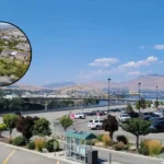 Ecology Dept Reviews Sabey Data Center Expansion in East Wenatchee 2026