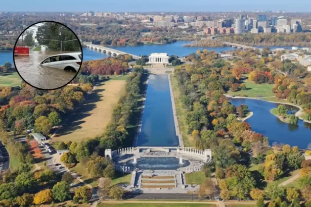 Flood Watch, Storms Hit Washington D.C. Weather July 2026