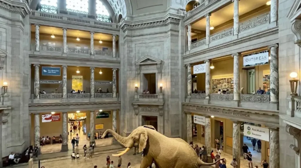 How Can First-Time Visitors Maximize Their Washington, D.C. Experience?