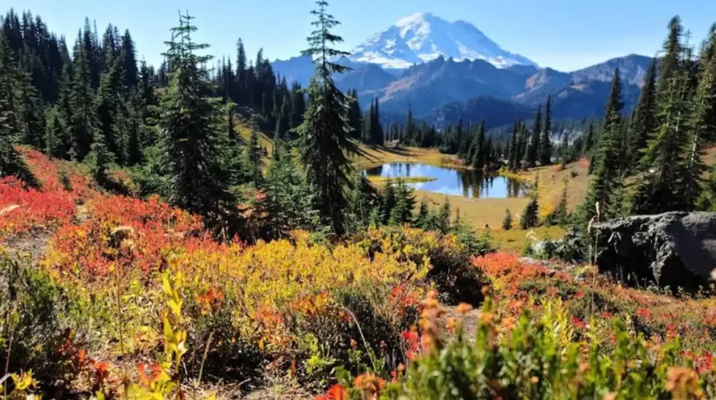 How Does the National Park Service Categorize Non Park Units?