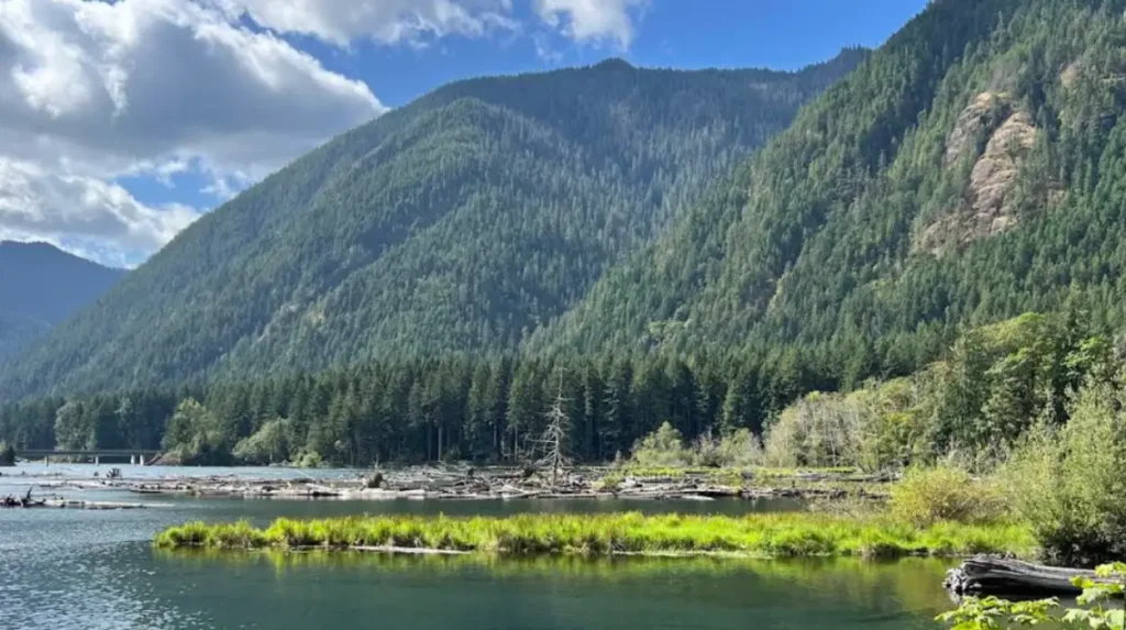 How do seasonal events enhance Washington bucket list experiences?