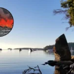 Kenmore Air Seaplane Crash: All 11 Rescued in WA 2026