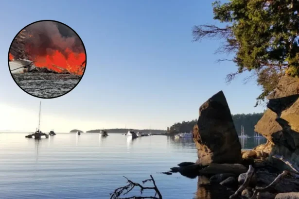 Kenmore Air Seaplane Crash: All 11 Rescued in WA 2026