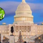 Metro Merch Mania Draws Crowds to Pop-Up Shop in Washington 2026