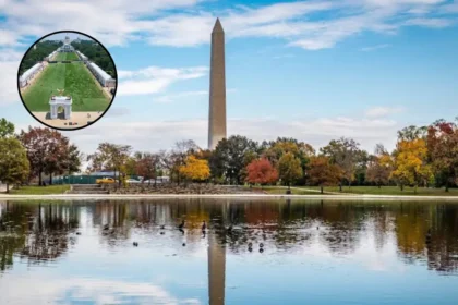 Minnesota Brings Crop Art to Trump's State Fair: Washington DC 2026
