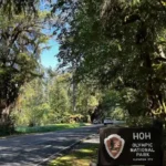 Pacific Northwest Road Trip Through Washington Highlights