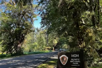 Pacific Northwest Road Trip Through Washington Highlights