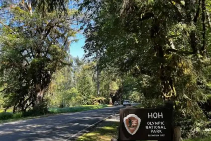 Pacific Northwest Road Trip Through Washington Highlights