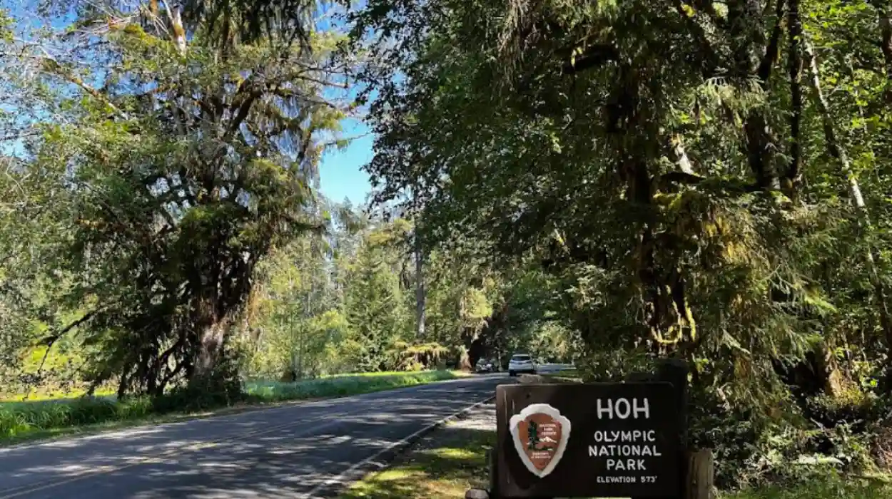Pacific Northwest Road Trip Through Washington Highlights