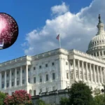 Record Fireworks and Trump Speech Set for Washington DC 2026