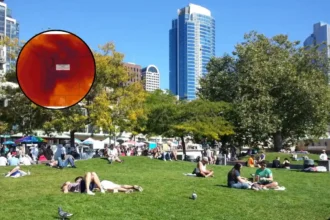Seattle Heatwave Brings Smoky Skies And 90-Degree Temps In 2026