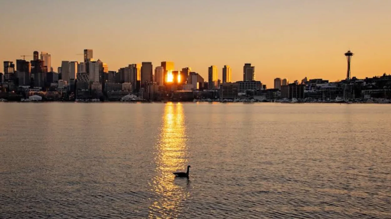 Seattle Weather Forecast: Clouds Yield to Mild Afternoon Sunshine in Seattle 2026