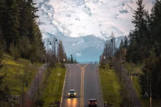 Seattle to Mount Rainier Road Trip Guide for Washington Travelers
