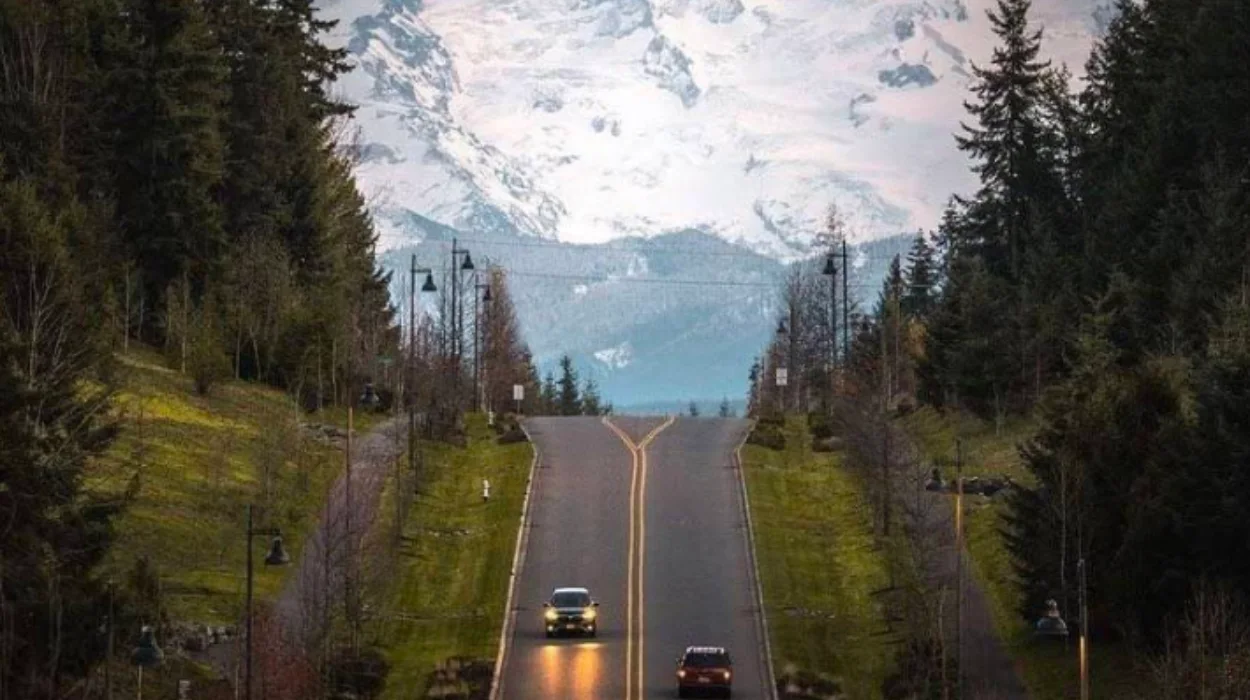Seattle to Mount Rainier Road Trip Guide for Washington Travelers