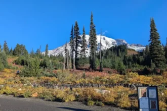 Secret Places in Washington State Tourists Miss
