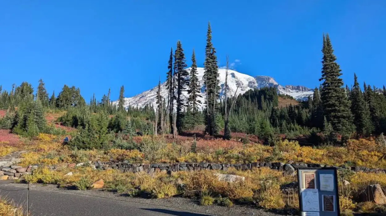 Secret Places in Washington State Tourists Miss