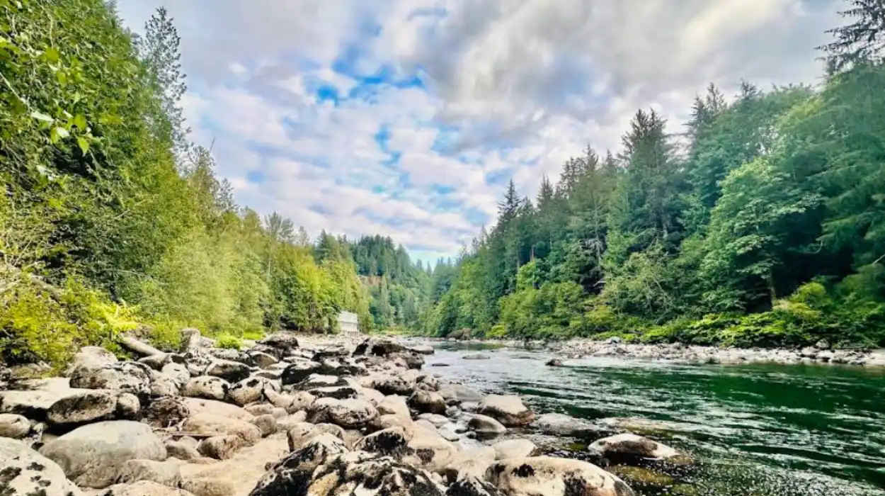 Snoqualmie Falls Washington Guide for the Best Viewing Experience