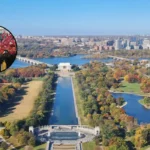 Ukrainian Artists Visit Washington for Art Diplomacy 2026
