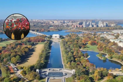 Ukrainian Artists Visit Washington for Art Diplomacy 2026