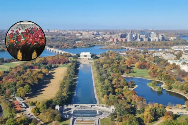 Ukrainian Artists Visit Washington for Art Diplomacy 2026