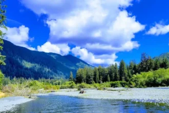 Underrated Washington Destinations for Nature Lovers to Explore