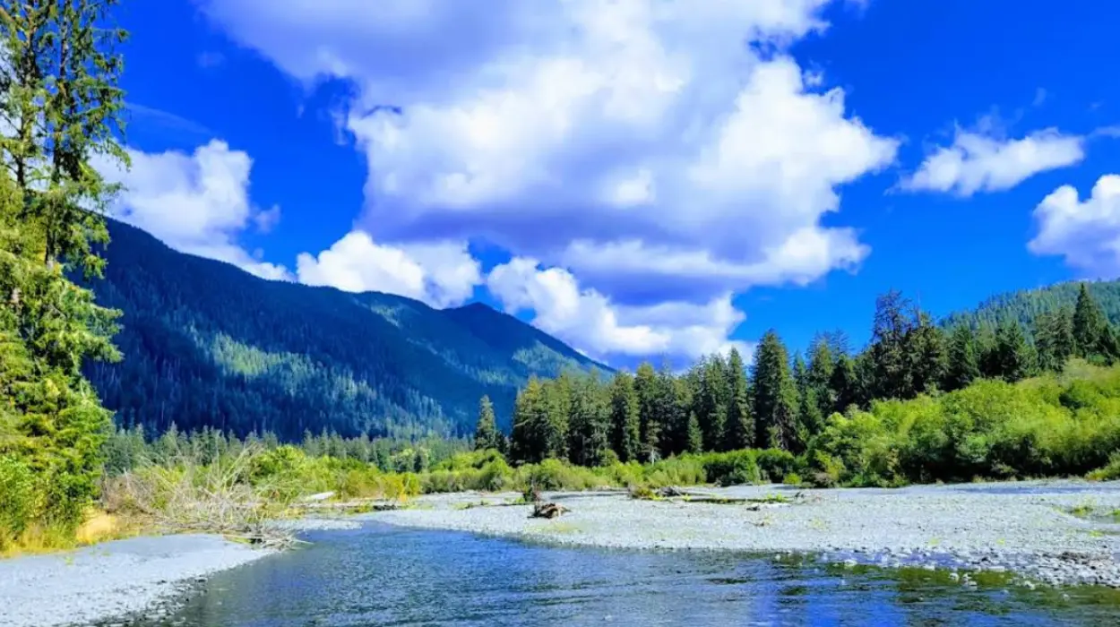 Underrated Washington Destinations for Nature Lovers to Explore