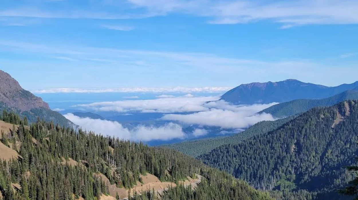 Washington Hidden Waterfalls Guide for Adventure Travelers Seeking Scenic Outdoor Escapes