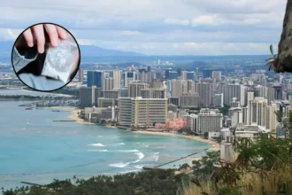Washington Woman Arrested with 34 Pounds Cocaine in Honolulu 2026