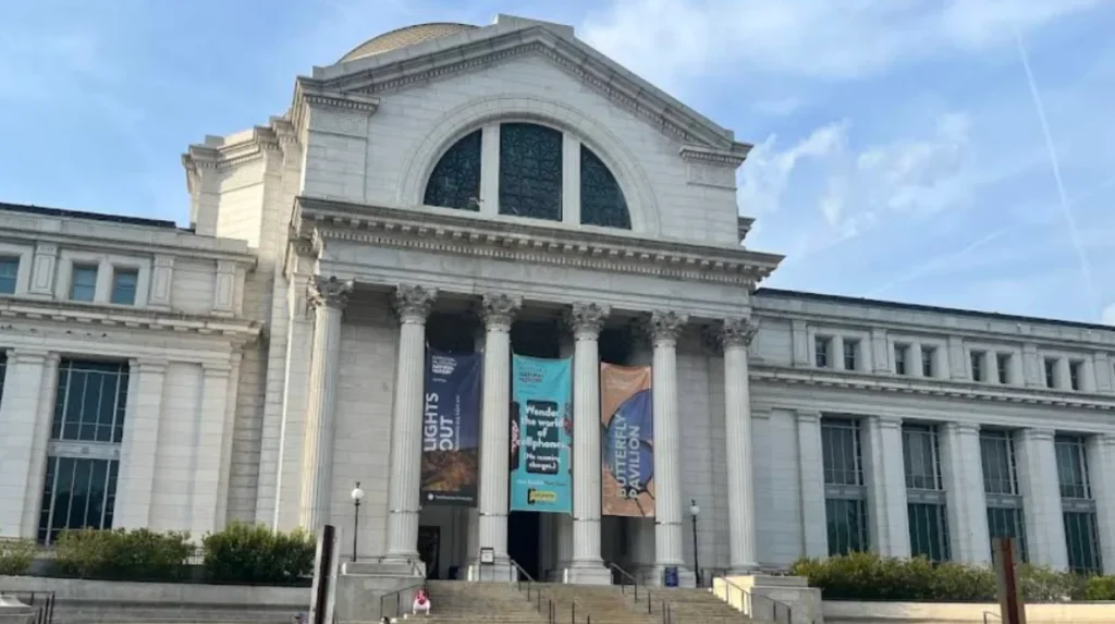 What Are the Must-See Attractions for First-Time Visitors to Washington, D.C.?