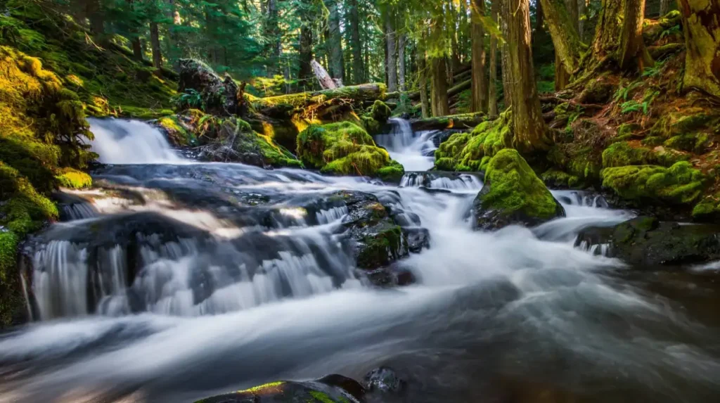 What are Washington hidden waterfalls?