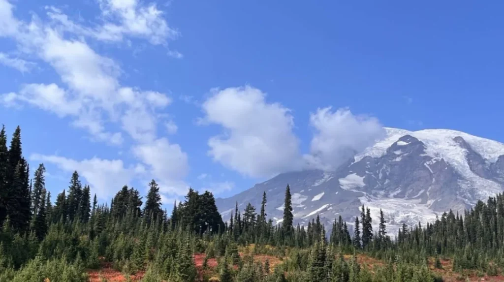 What are the hidden gems in Washington State?