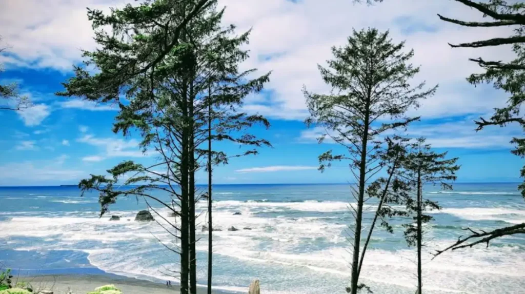 What are the secret places in Washington State tourists miss?