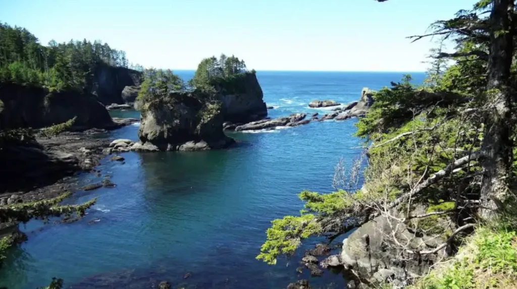 What is the Olympic Peninsula road trip?