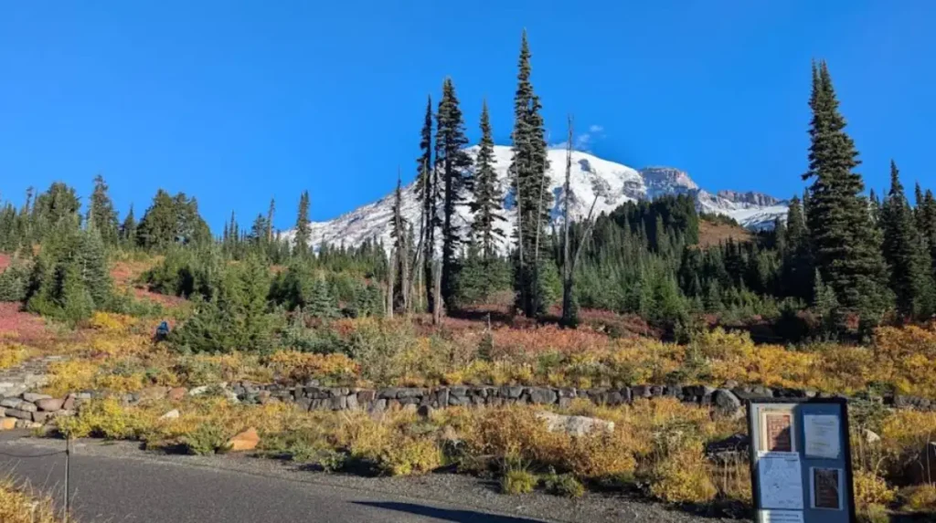 What is the Seattle to Mount Rainier road trip?