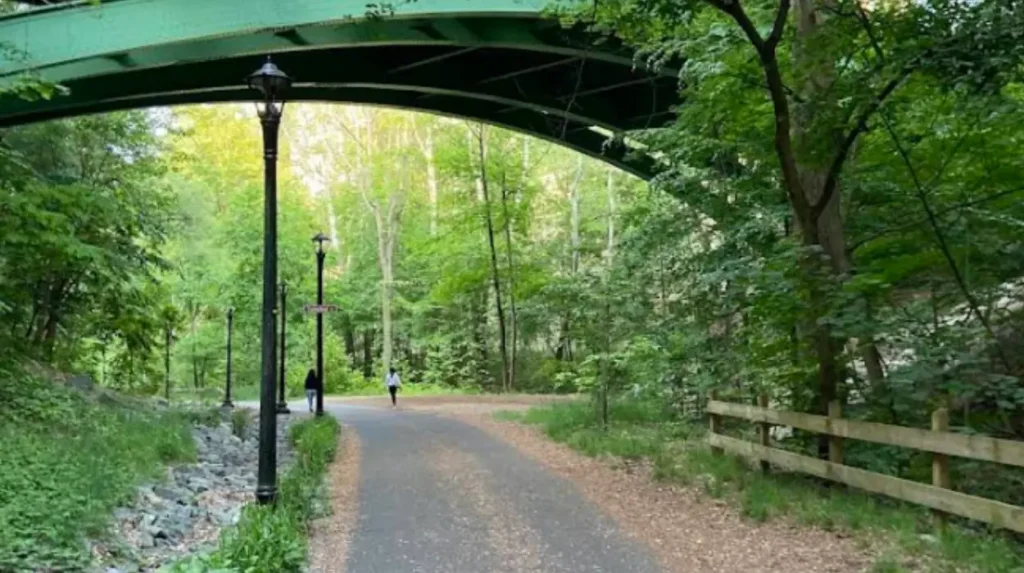 What makes Washington a strong nature road trip state?
