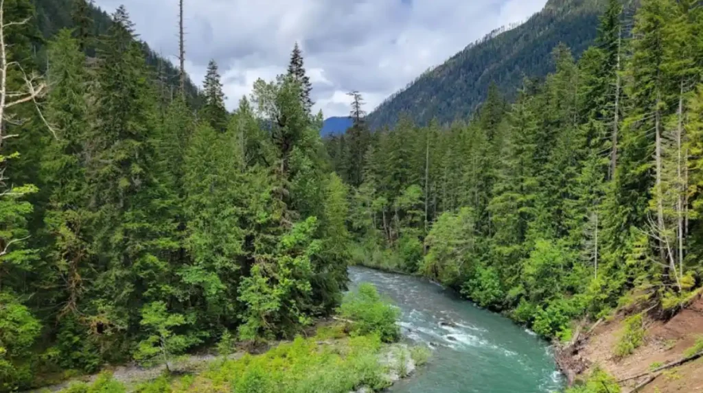 What makes Washington’s hidden waterfalls worth visiting?