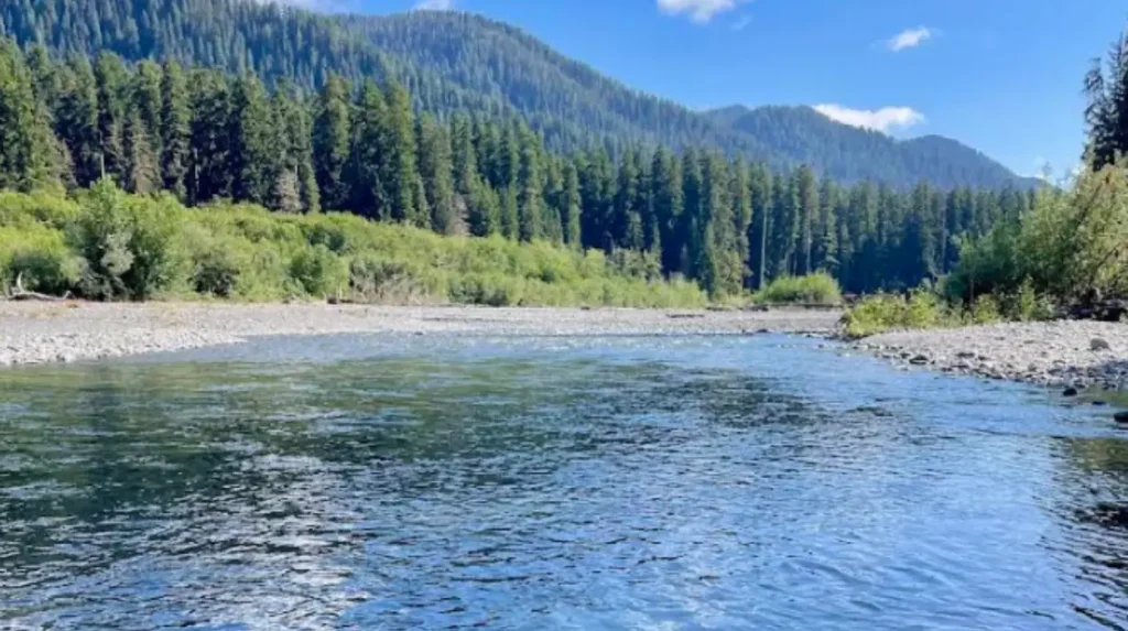 What makes a Washington road trip special?