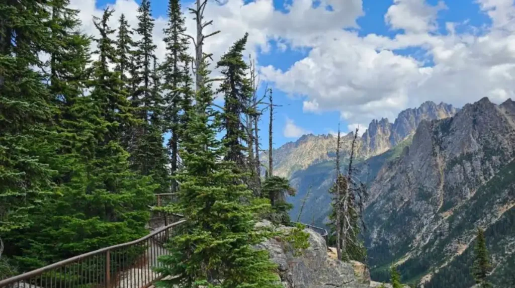 Which Washington scenic drives should be mentioned first?
