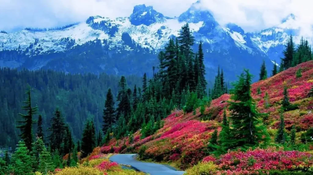 Why do Seattle road trips perform well in search?