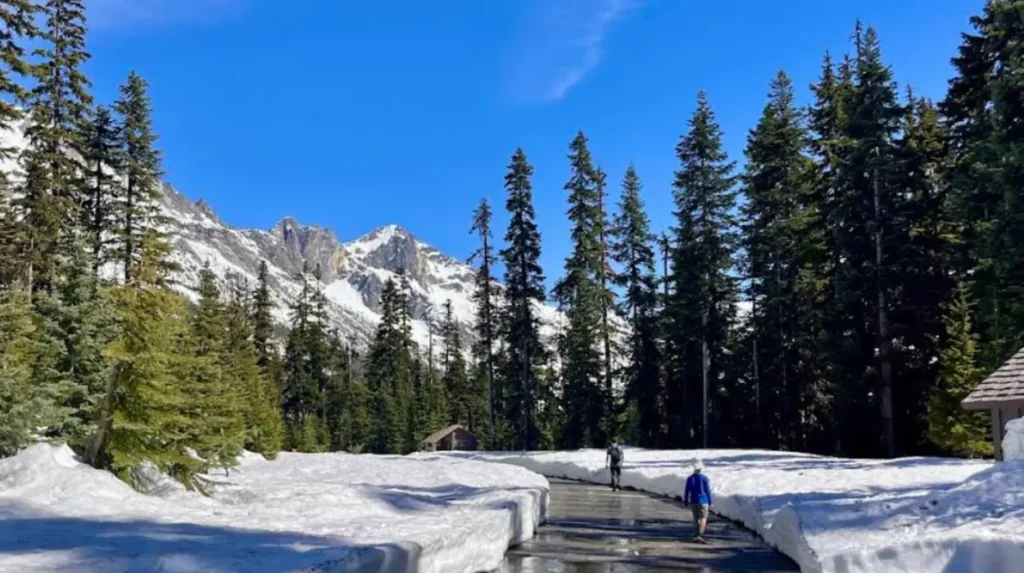 Why do Washington scenic drives stay relevant year after year?