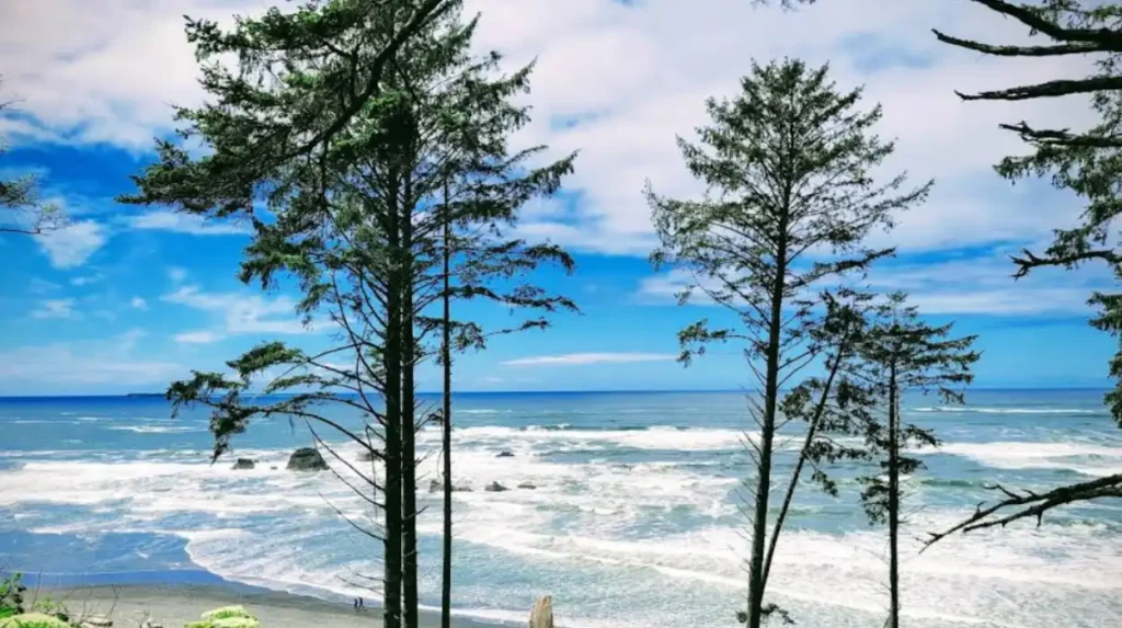 Why do these waterfalls matter for Washington travel?