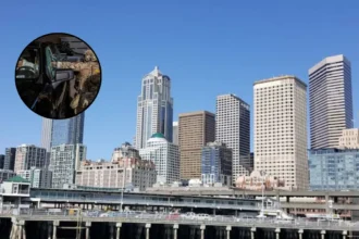 DHS Immigration Tactics Shift to Soft Raids in Northwest Washington 2026