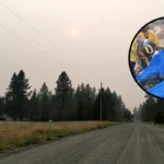 Firefighters Rescue Koi Fish From Wildfire in Spokane 2026