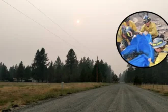 Firefighters Rescue Koi Fish From Wildfire in Spokane 2026