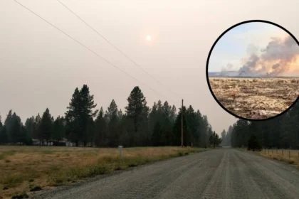 Gov. Ferguson Declares Wildfire Emergency in Spokane 2026