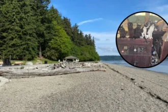 Over 30 Cats Rescued From Abandoned Boat in Tacoma 2026
