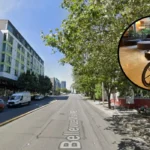 Ride Bellevue Enhances Sustainable Visitor Mobility in Washington, 2026