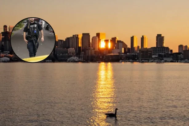 Search Continues for Missing Bite of Seattle Shooting Suspect, Seattle 2026