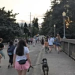 South Sound Community Heroes, Sports, and Milestones in Olympia 2026
