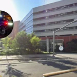 Three Relatives Charged in $1M Elder Fraud Scheme Bellevue 2026
